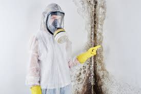 Best Biohazard Mold Removal  in Sahuarita, AZ